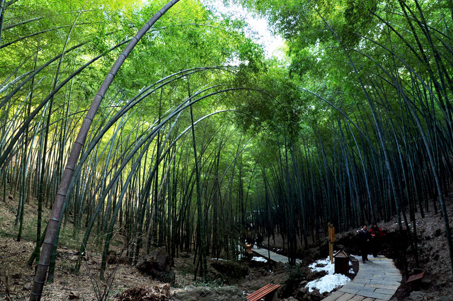 天目湖公園、南山竹海2天遊