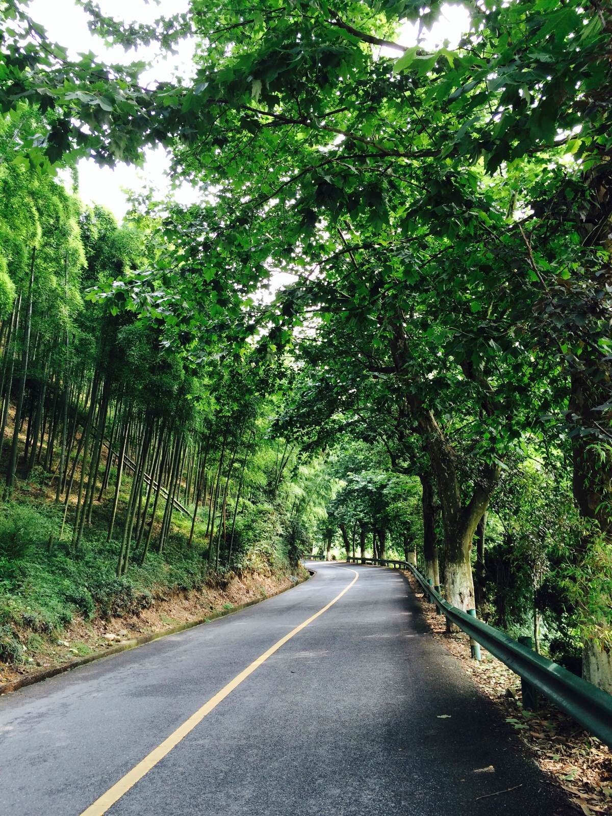 莫幹山夏日避暑兩日遊